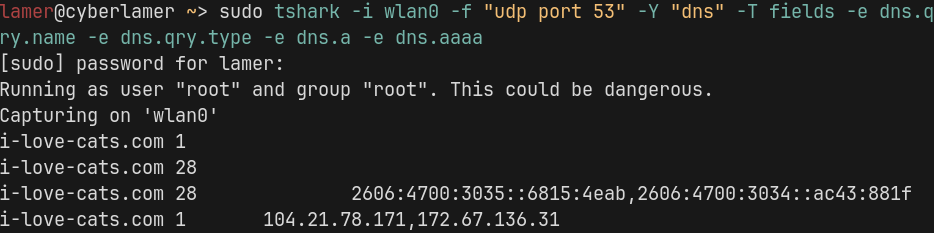 вывод tshark